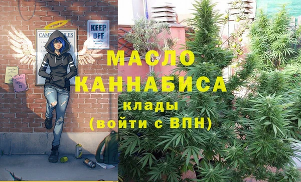 гашик Аркадак