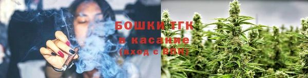 гашик Аркадак