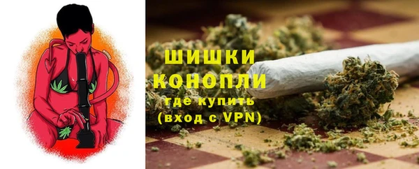гашик Аркадак