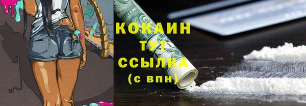 гашик Аркадак