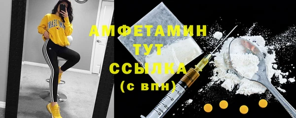 гашик Аркадак